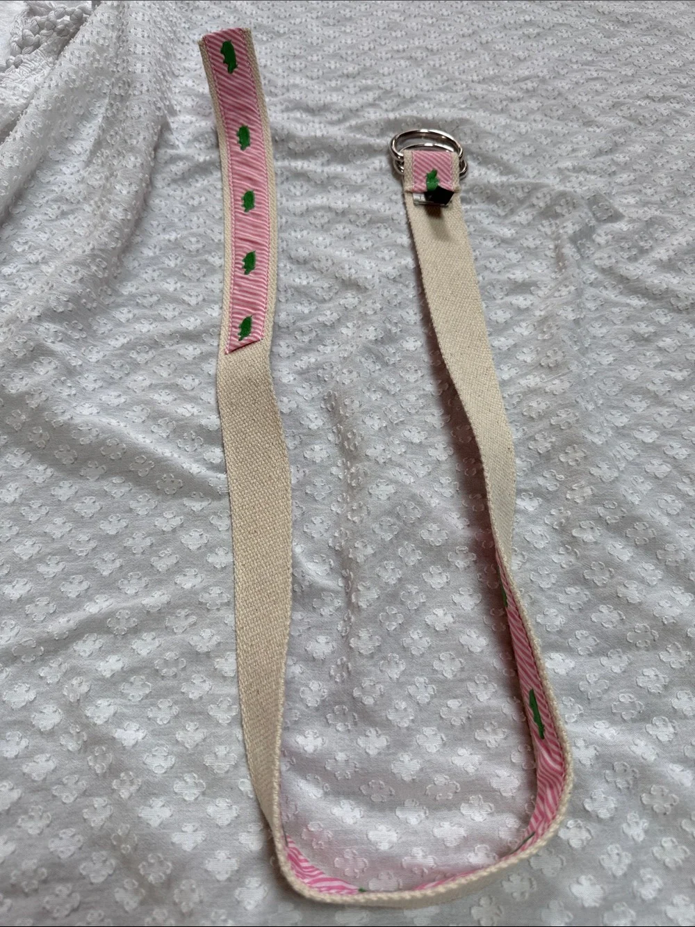 J. Crew Pink Stripe Green Hippo Cotton Canvas Belt S/M